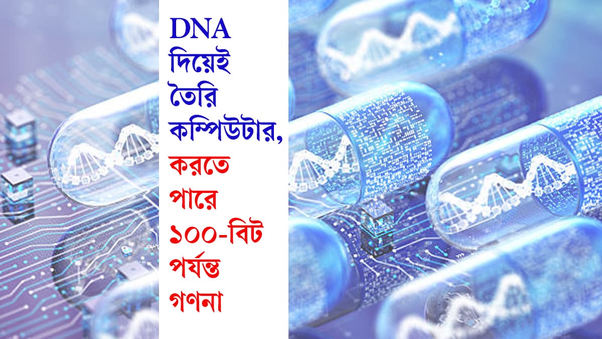 DNA Computer